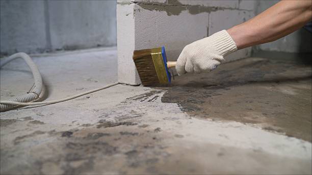 SJ Waterproofing Pros Crawl Space Encapsulation coverage map for Livonia, NY and surrounding area